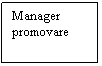 Text Box: Manager promovare