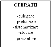 Text Box: OPERATII

-culegere
-prelucrare
-sistematizare
-stocare
-prezentare
