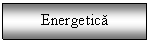 Text Box: Energetica