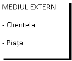 Text Box: MEDIUL EXTERN
- Clientela
- Piata
- oncurenta
- Conjunctura
- Suporti publicitari
