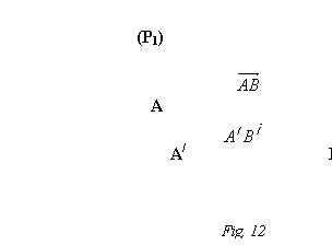 Text Box: (P1) (P2)

 B
 A
 
A/ B/
 

 
 Fig. 12
