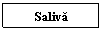 Text Box: Saliva