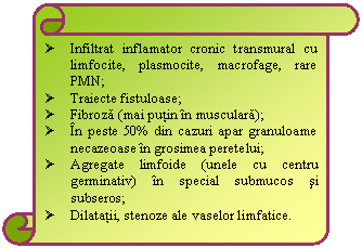 Vertical Scroll: � Infiltrat inflamator cronic transmural cu limfocite, plasmocite, macrofage, rare PMN;
� Traiecte fistuloase;
� Fibroza (mai putin in musculara);
� In peste 50% din cazuri apar granuloame necazeoase in grosimea peretelui;
� Agregate limfoide (unele cu centru germinativ) in special submucos si subseros;
� Dilatatii, stenoze ale vaselor limfatice.
