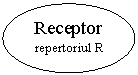Oval:  Receptor
  repertoriul R 
