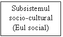 Text Box: Subsistemul socio-cultural
(Eul social)
