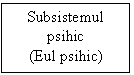 Text Box: Subsistemul psihic
(Eul psihic)
