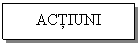 Text Box: ACTIUNI