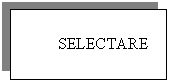 Text Box: SELECTARE

