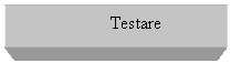 Text Box: Testare