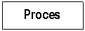 Text Box: Proces