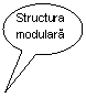 Oval Callout: Structura modulara