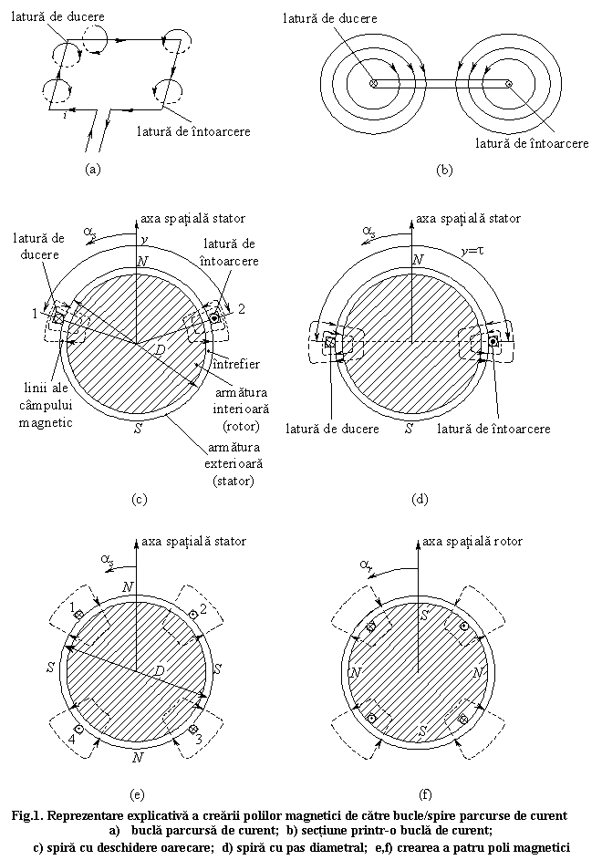 Text Box: 
Fig.1. Reprezentare explicativa a crearii polilor magnetici de catre bucle/spire parcurse de curent
a) bucla parcursa de curent; b) sectiune printr-o bucla de curent; 
c) spira cu deschidere oarecare; d) spira cu pas diametral; e,f) crearea a patru poli magnetici
