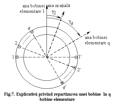 Text Box: Fig.7. Explicativa privind repartizarea unei bobine in q bobine elementare

