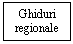 Text Box: Ghiduri
regionale
