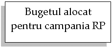 Text Box: Bugetul alocat pentru campania RP