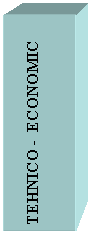 Text Box: TEHNICO -  ECONOMIC