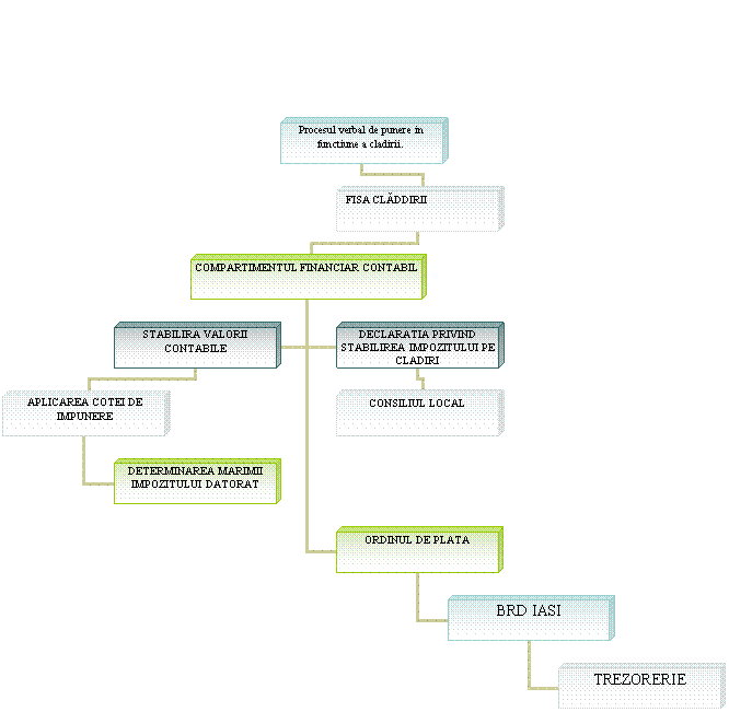 Organization Chart