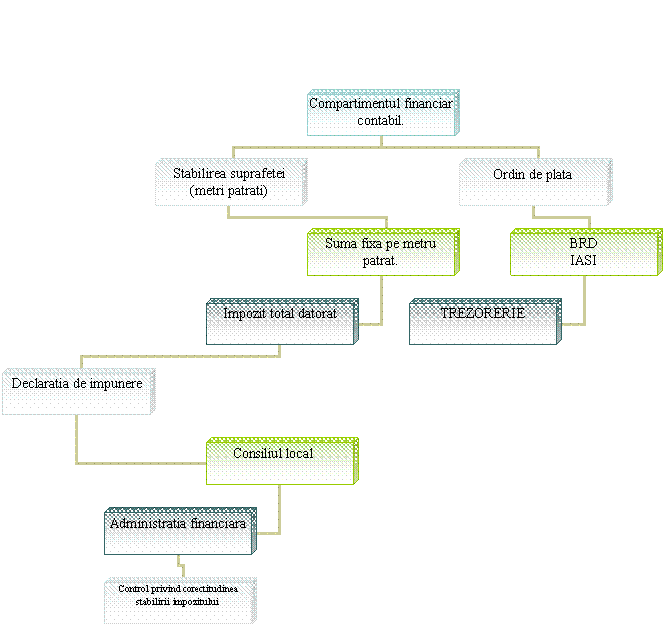 Organization Chart