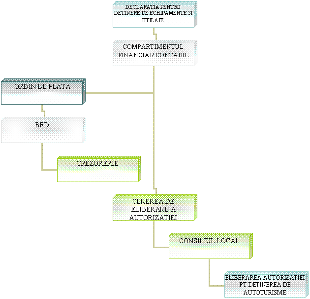 Organization Chart