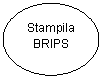 Oval: Stampila BRIPS
