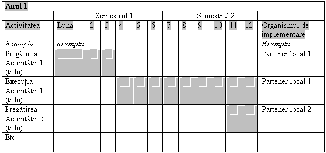 Text Box: Anul 1
 Semestrul 1 Semestrul 2 
Activitatea Luna 2 3 4 5 6 7 8 9 10 11 12 Organismul de implementare
Exemplu exemplu Exemplu
Pregatirea Activitatii 1 (titlu) Partener local 1
Executia Activitatii 1 (titlu) Partener local 1
Pregatirea Activitatii 2 (titlu) Partener local 2
Etc. 
 
