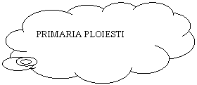 Cloud Callout: PRIMARIA PLOIESTI
