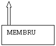 Text Box: MEMBRU