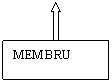 Text Box: MEMBRU