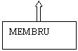 Text Box: MEMBRU