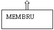 Text Box: MEMBRU