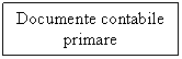 Text Box: Documente contabile primare