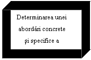 Text Box: Determinarea unei
abordari concrete
si specifice a
politicii
