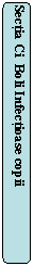 Rounded Rectangle: Sectia Ci  Boli Infectioase copii