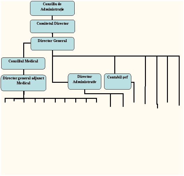 Organization Chart