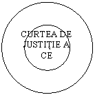 Donut: CURTEA DE JUSTITIE A CE
