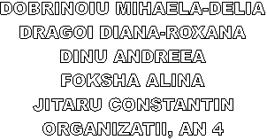 DOBRINOIU MIHAELA-DELIA
DRAGOI DIANA-ROXANA
DINU ANDREEA
FOKSHA ALINA
JITARU CONSTANTIN
ORGANIZATII, AN 4
