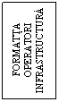 Text Box: FORMATTA 
OPERATORI
INFRASTRUCTURA
