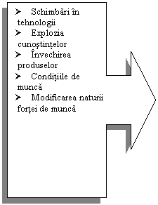 Right Arrow Callout: Ø	Schimbari in tehnologii
Ø	Explozia cunostintelor
Ø	Invechirea produselor
Ø	Conditiile de munca
Ø	Modificarea naturii fortei de munca


