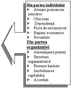 Left Arrow Callout: Din partea individului
Ø	Atentie si memorie   selective
Ø	Obiceiuri
Ø	 Dependenta
Ø	Frica de necunoscut
Ø	Ratiuni economice
Ø	Securitate
Din partea organizatiei
Ø	Amenintarea puterii
Ø	Structura organizatorica
Ø	Resurse limitate
Ø	Imobilizarea capitalului
Ø	Acorduri interorganizatii
