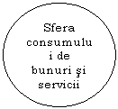 Oval: Sfera consumului de  bunuri si servicii