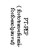 Text Box: PT-PEP
( fostotranseferaza-fosfoenolpiruvat)

