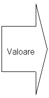 Right Arrow: Valoare
