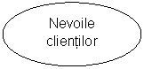 Oval: Nevoile
clientilor
