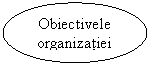 Oval: Obiectivele organizatiei