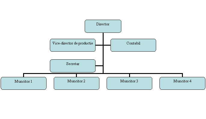 Organization Chart