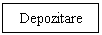 Text Box: Depozitare