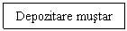 Text Box: Depozitare mustar