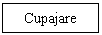 Text Box: Cupajare