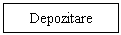 Text Box: Depozitare