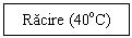 Text Box: Racire (40oC)